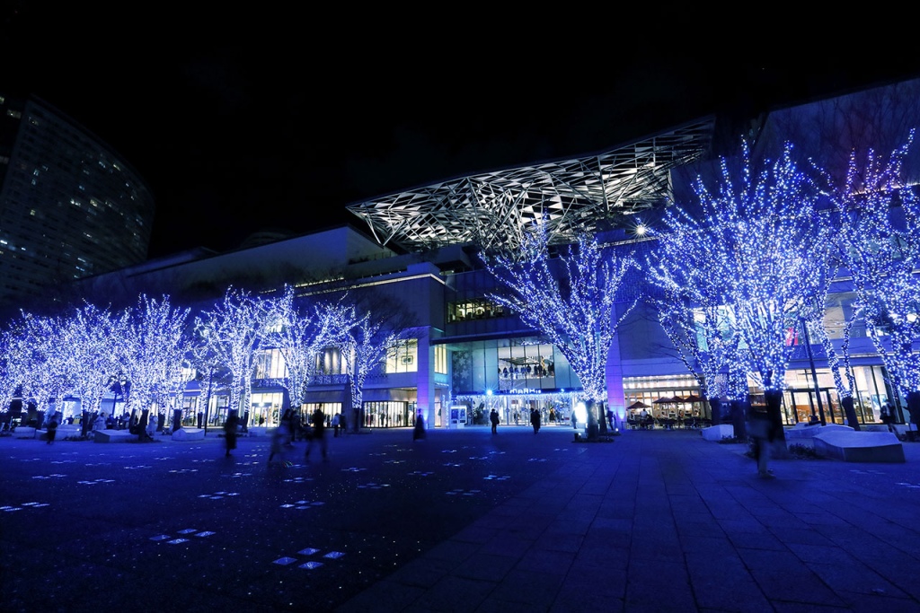 【โยโกฮาม่า】 Illumination Fest in Yokohama 2024-2025