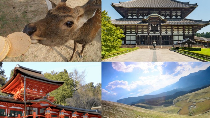 เที่ยวนาราให้หนำใจ! 10 สุดยอดที่เที่ยวที่ห้ามพลาด สัมผัสเสน่ห์เมืองเก่าและธรรมชาติอันงดงาม