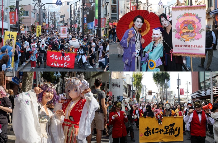 Kagurazaka Bakeneko Festival