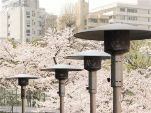 นั่งจิบเครื่องดื่ม ชมวิวซากุระฟุบุกิที่ Roppongi Midtown จุดชมวิวลับที่คนรักญี่ปุ่นต้องไปโดน!