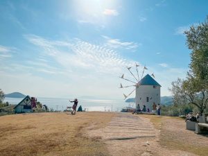 ที่นี่ญี่ปุ่นหรือกรีซ!? เที่ยวสวนโอลีฟในเกาะโชโดชิมะ