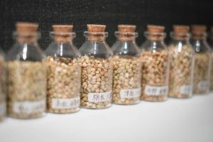 เปิดต่อมรับรสกับ “Osame” ร้านโซบะมิชลินลับในรปปงหงิ ที่จะทำให้คุณลืมโซบะแบบเดิมๆ ไปเลย!