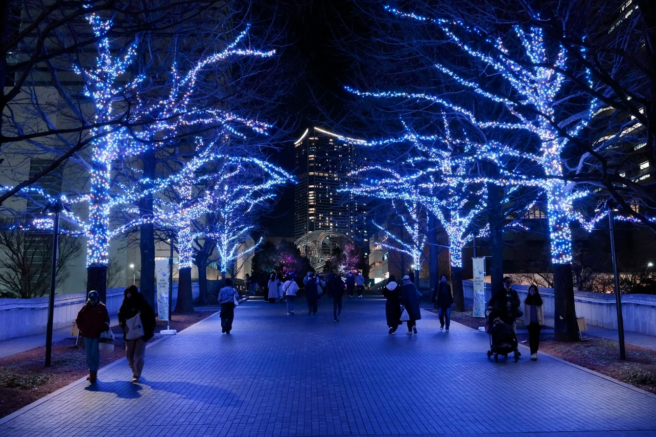 Yokohama Milight Illumination