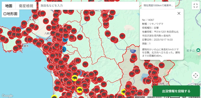 สถานการณ์หมีปรากฏตัวที่อาคิตะ