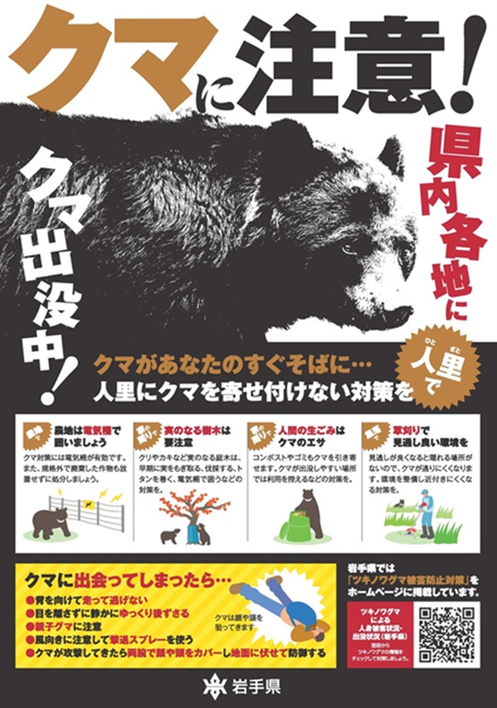 ระวังหมีปรากฏตัว