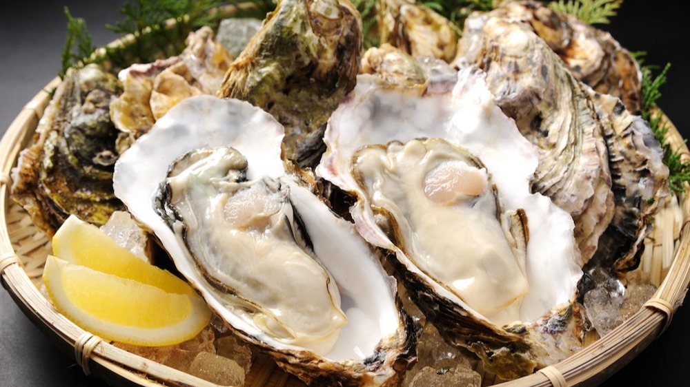 เที่ยวฮิโรชิมาหน้าหนาว ต้องจัด! 5 เมนูเด็ดท้าลมหนาว ทั้งหม้อไฟเลมอน หอยนางรม และเทศกาลอาหารสุดฟิน