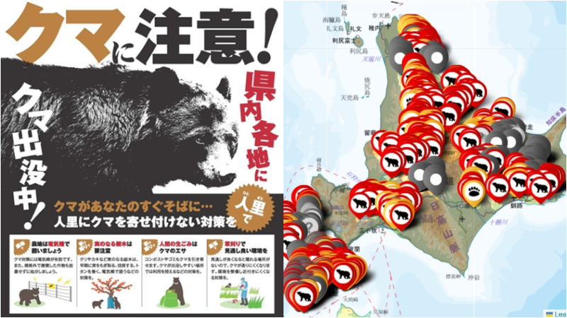 เที่ยวญี่ปุ่นต้องระวัง! รวมพิกัดเช็กจุด “หมีดุ” ทั่วญี่ปุ่น พร้อมแผนที่รับมือ