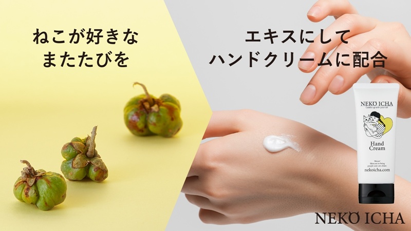 แฮนด์ครีม NEKO ICHA