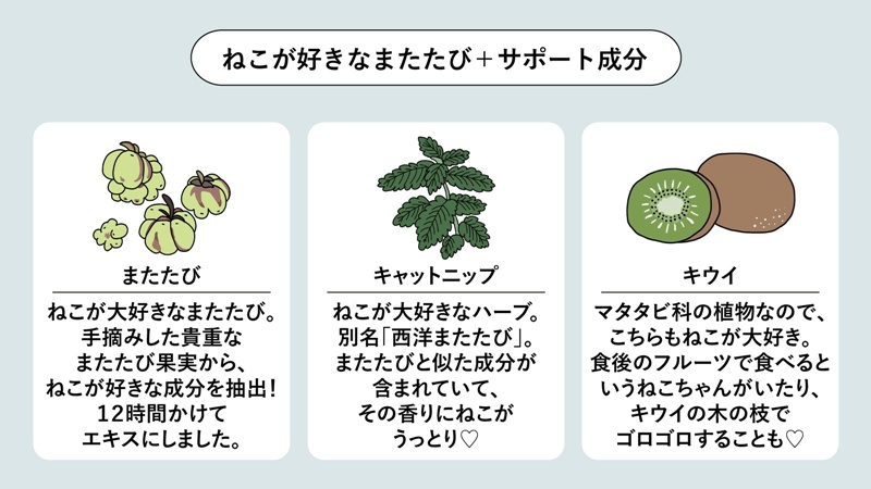 แฮนด์ครีม NEKO ICHA