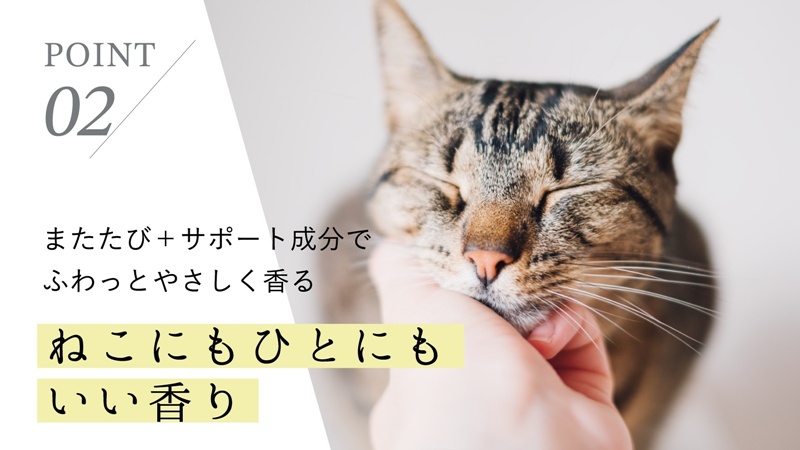 แฮนด์ครีม NEKO ICHA