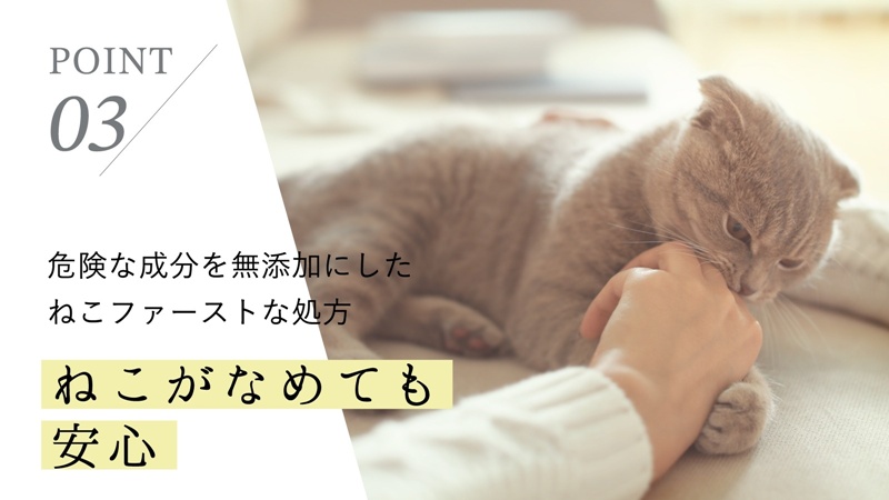 แฮนด์ครีม NEKO ICHA