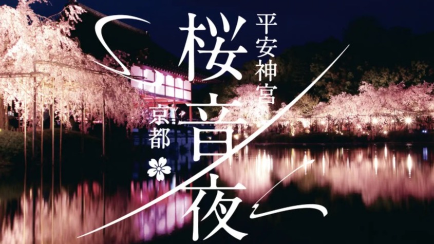 ดื่มด่ำค่ำคืนสุดโรแมนติกที่เกียวโต! เทศกาลชมซากุระประดับไฟ “Sakura OTOYO 2026” ณ ศาลเจ้าเฮอัน