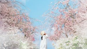 ไปชมซากุระในฮิโรชิมะกัน! รวม 6 จุดเช็คอินสุดโรแมนติกที่คนท้องถิ่นแนะนำ