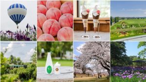 เที่ยวฟุกุชิมะแบบไม่ซ้ำใคร! ปักหมุดเมืองลับสุดคิวต์ “คางามิอิชิ” ฟาร์มสวย ออนเซ็นฟิน ศิลปะบนนาข้าวสุดอลังการ