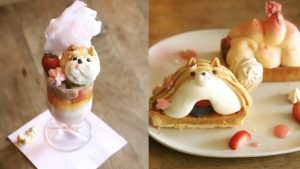 รีวิว “torse” คาเฟ่ลับย่านยูเท็นจิ โตเกียว ฟินกับข้าวห่อไข่ในตำนานและของหวานสุดคิวต์!