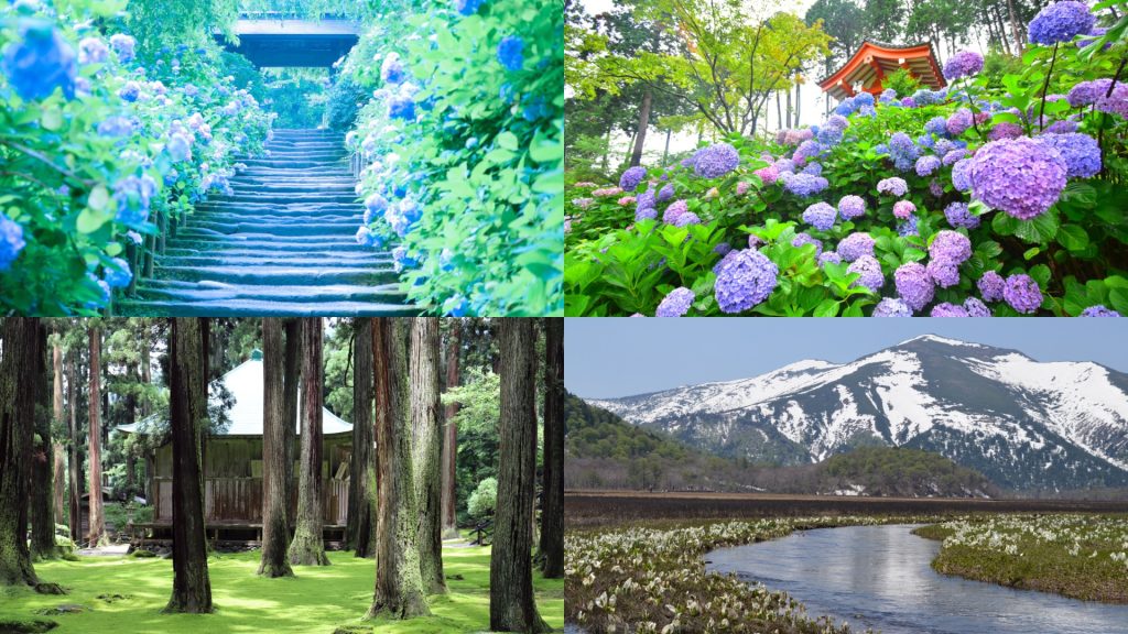 แจก 10 พิกัดเที่ยวญี่ปุ่นเดือนมิถุนายน: สัมผัสเสน่ห์ฤดูฝน ดอกไม้บาน และธรรมชาติสุดอันซีน